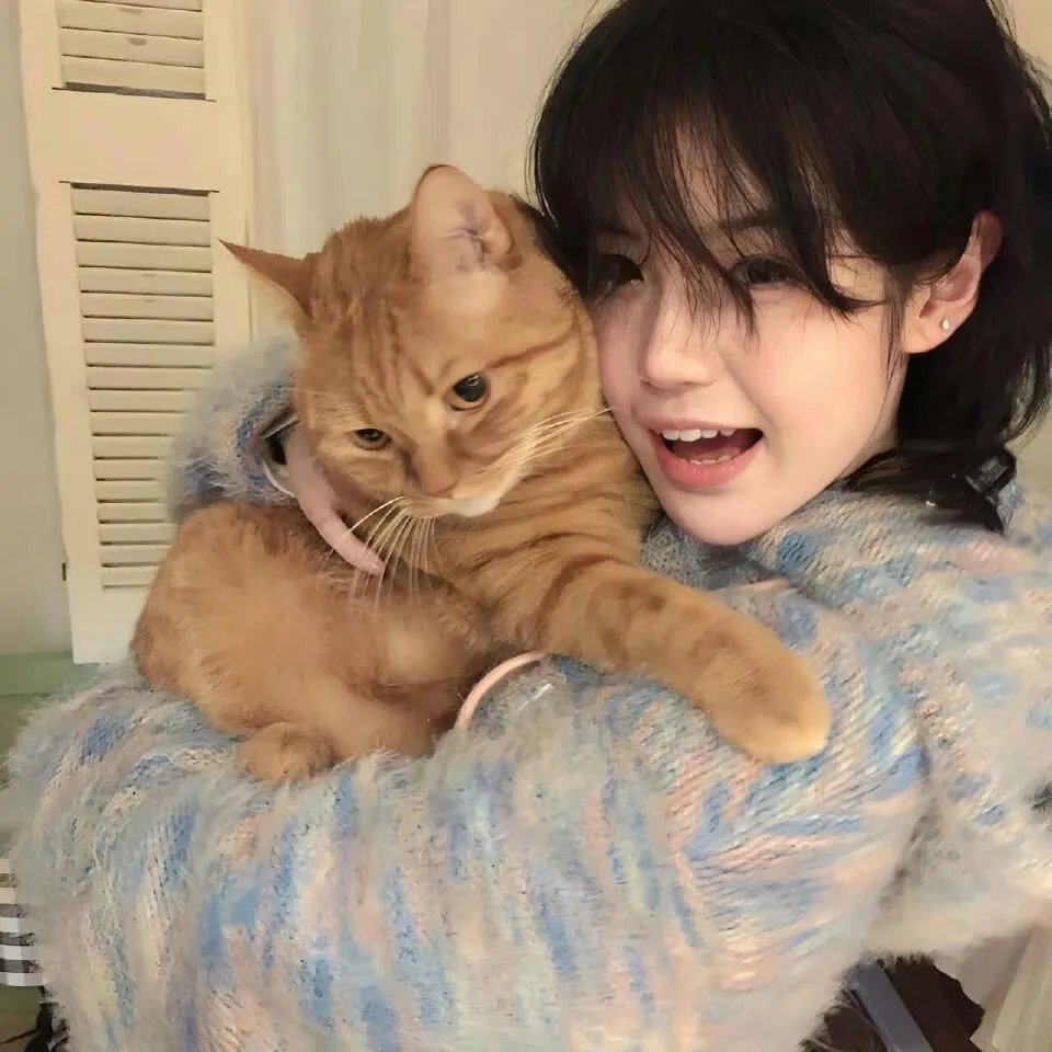 十月建造的房屋2